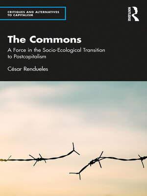cover image of The Commons